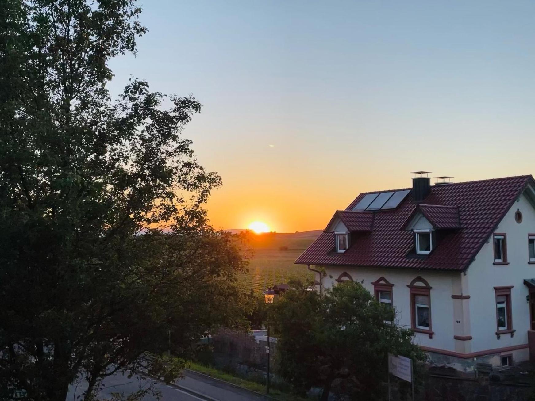 Lp Haus Der Guten Dinge Vogtsburg Eksteriør billede
